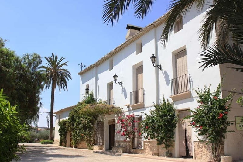 From Alicante and Elche: Guided tour for vineyard and winery with tasting - Authentic Experiences and Reviewer Insights