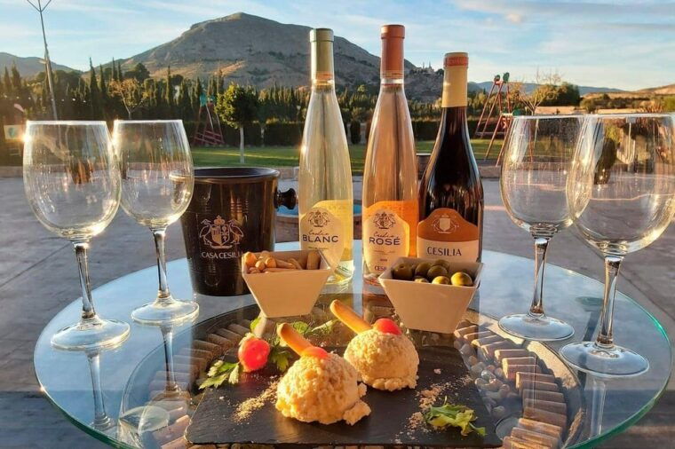 from-alicante-and-elche-guided-tour-to-vineyard-and-winery-with-tasting