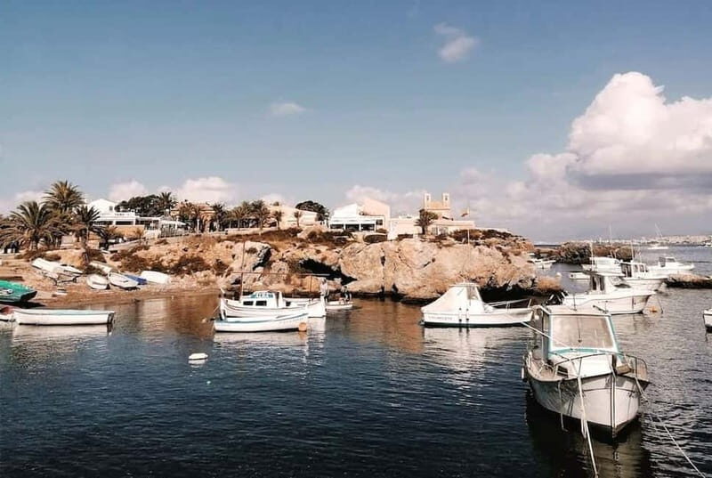 From Alicante and Torrevieja: Excursion to Tabarca, Santa Pola and Laguna Rosa - Who is this experience for?  