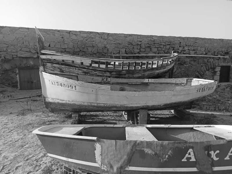 From Alicante and Torrevieja: Excursion to Tabarca, Santa Pola and Laguna Rosa - The Value at a Glance