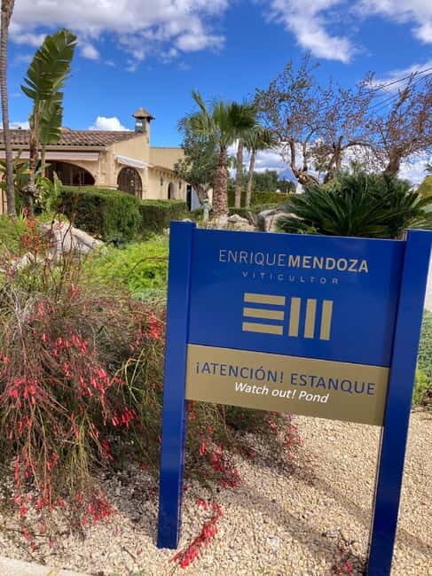 From Alicante, Benidorm-Best winery tour with tasting - Key Points