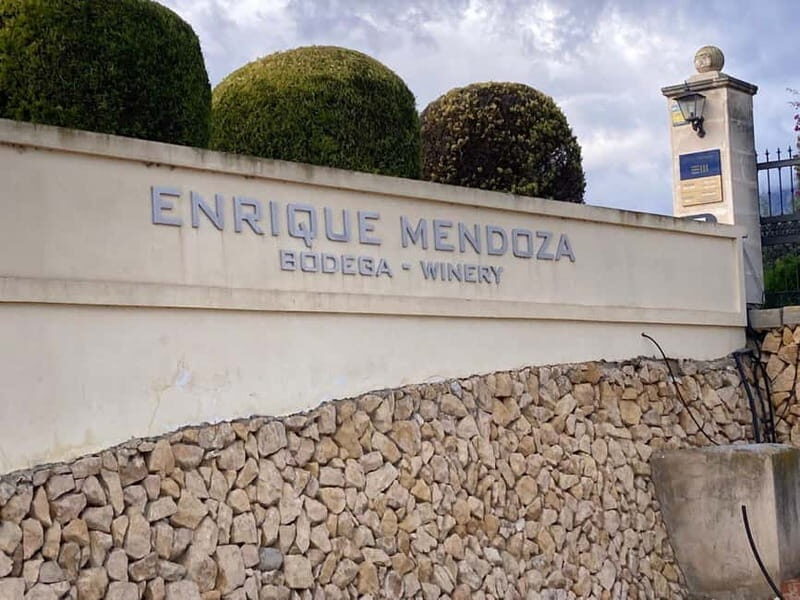 From Alicante, Benidorm-Best winery tour with tasting - Practical Details & Tips for Travelers