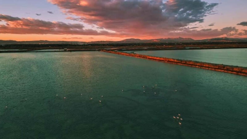 From Alicante/Benidorm: Tabarca Island & Santa Pola Salinas - A Complete Breakdown of the Tour Experience