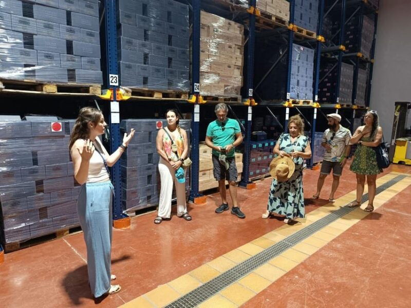 from-alicante-benidorm-winery-tour-and-wine-tasting