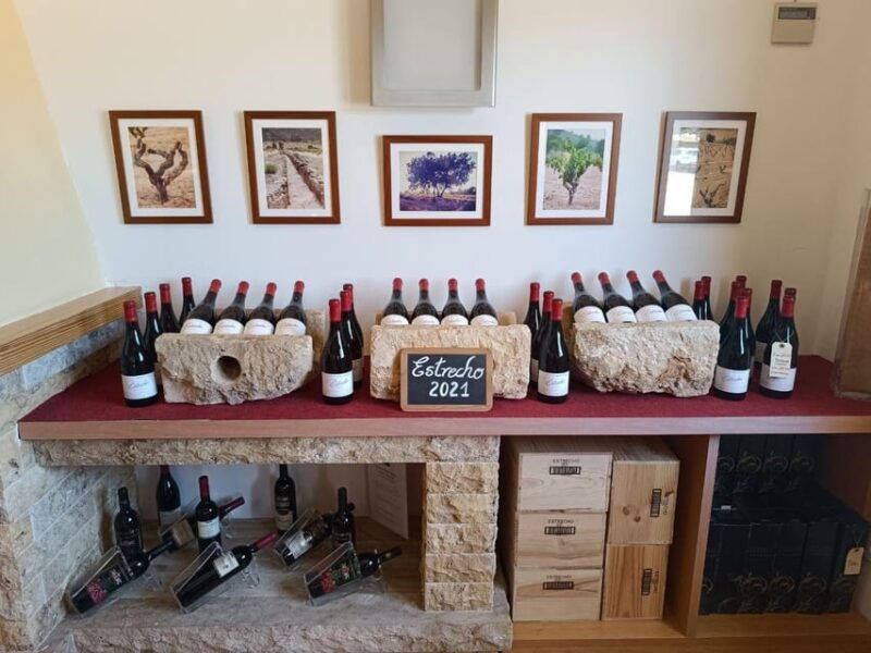 from-alicante-benidorm-winery-tour-and-wine-tasting