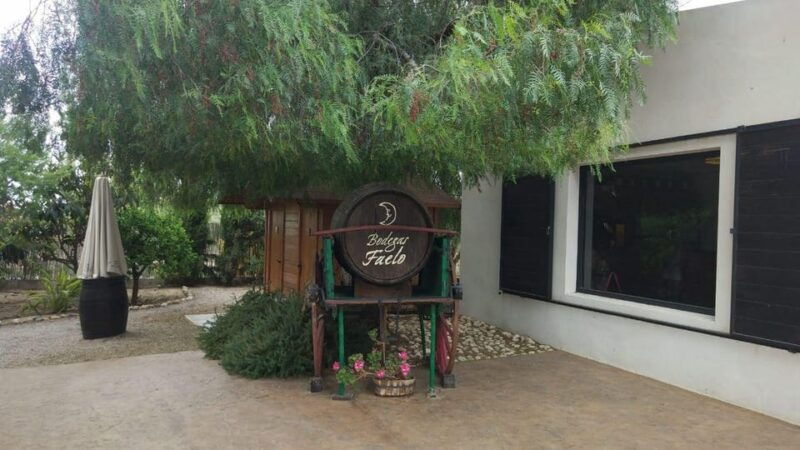 from-alicante-best-winery-tour-and-wine-tasting
