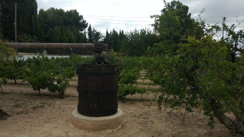 from-alicante-best-winery-tour-and-wine-tasting