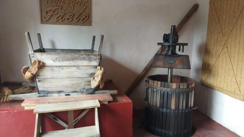 from-alicante-elche-family-owned-rural-winery-tasting