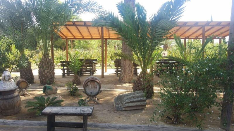 from-alicante-elche-family-owned-rural-winery-tasting