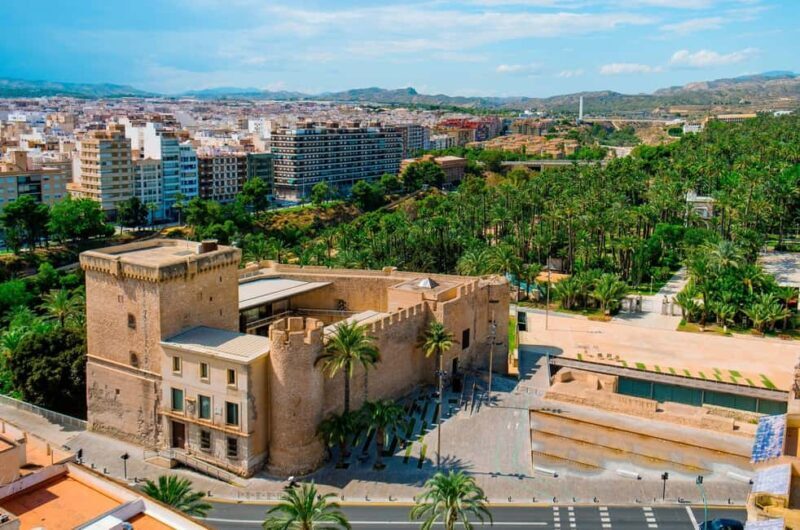From Alicante: Elche Half-Day of Palms, History & Heritage - Exploring Elche’s Natural and Cultural Gems