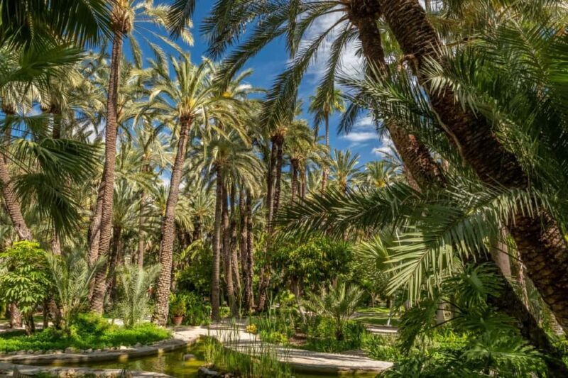 From Alicante: Elche Half-Day of Palms, History & Heritage - FAQ