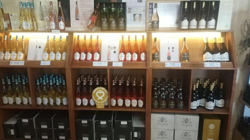 from-alicante-premium-visit-to-the-winery-the-best-of-our-wines