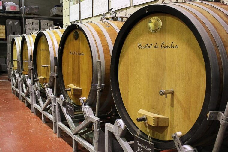 from-alicante-premium-visit-to-the-winery-the-best-of-our-wines