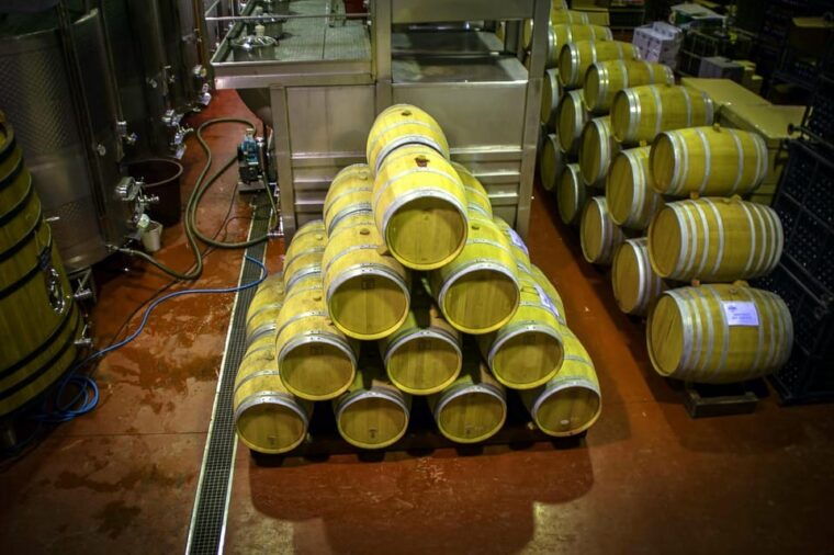 from-alicante-premium-visit-to-the-winery-the-best-of-our-wines