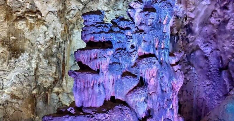 from-alicante-to-the-caves-in-europe-canelobre-gidovik