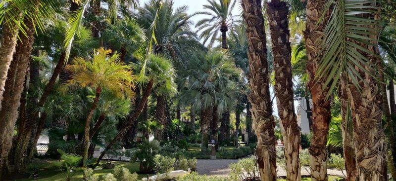 from-alicante-tour-to-the-national-botanical-garden