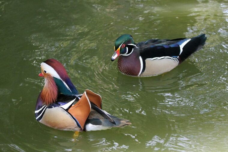 from-alicante-tour-to-the-national-botanical-garden