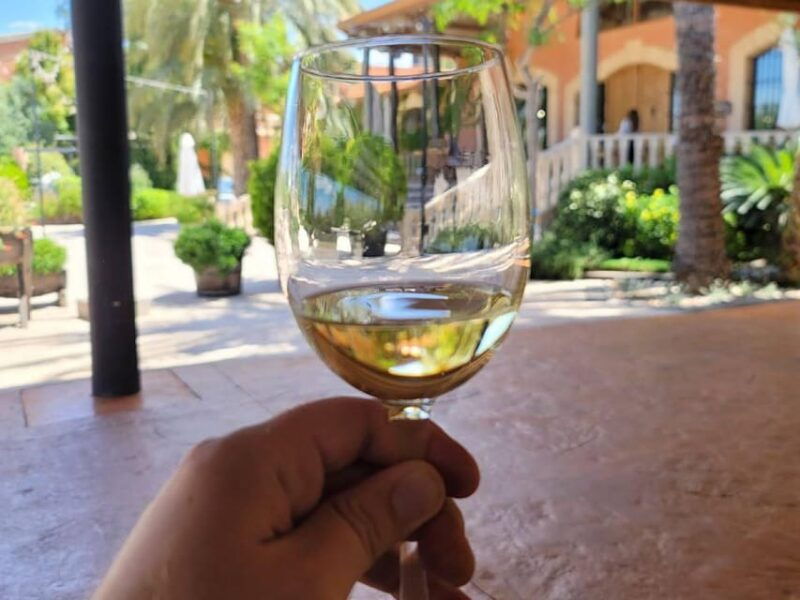 from-alicante-winery-tour-and-wine-tasting-with-tapas