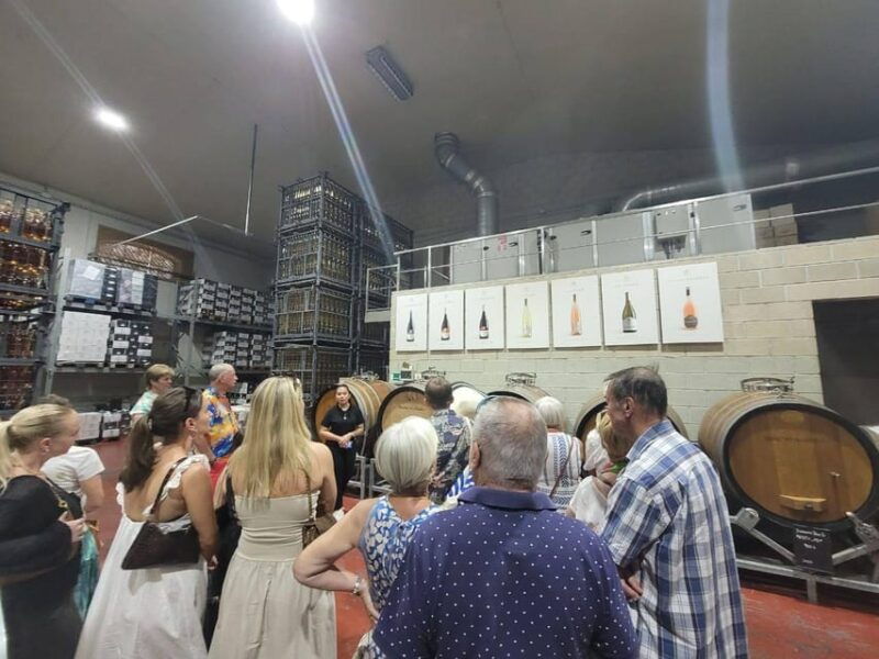 from-alicante-winery-tour-and-wine-tasting-with-tapas