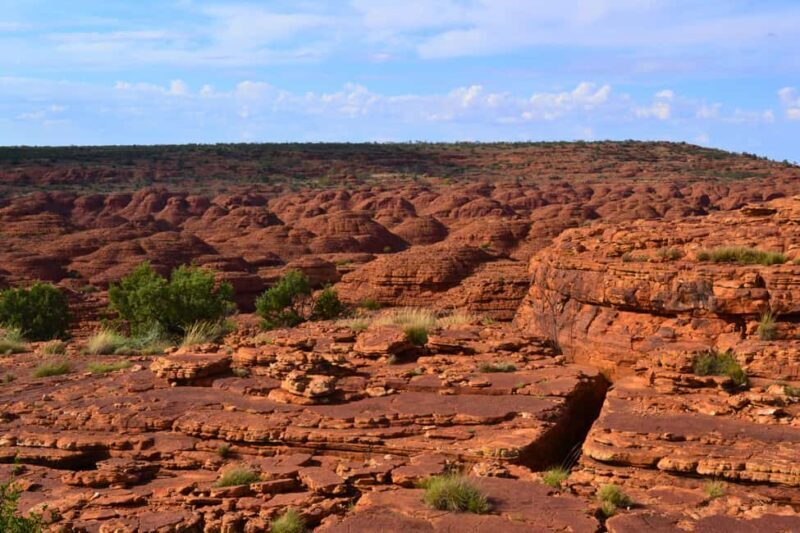 From Alice Springs: 4-Day, 3-Night Outback Escape - Final Thoughts