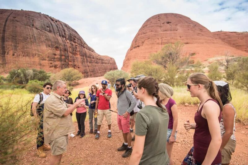 From Alice Springs: 4-Day Uluru & Kings Canyon Adventure - Who Should Consider This Tour?