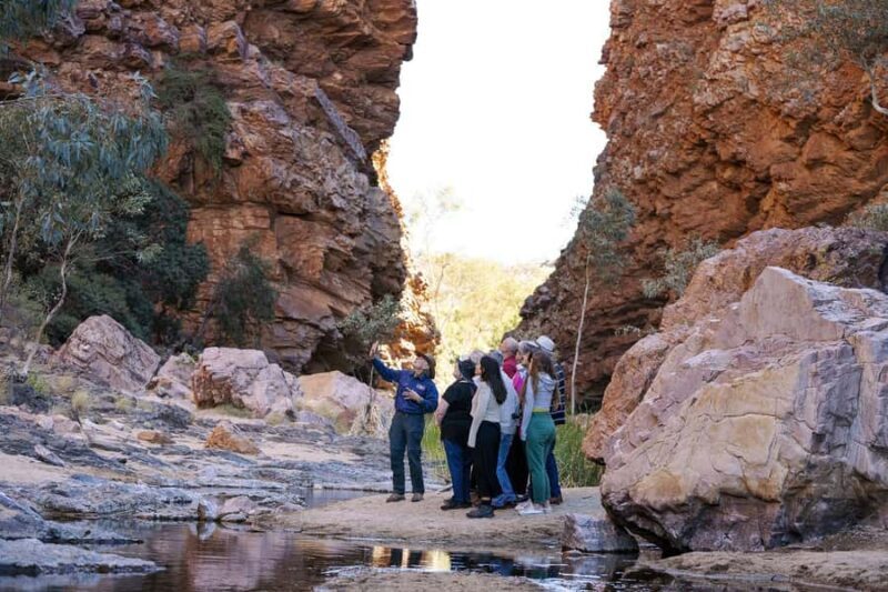From Alice Springs: Half Day West MacDonnell Ranges Tour - Final Thoughts