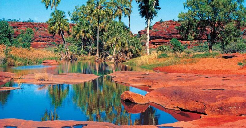 From Alice Springs: Palm Valley 4WD Outback Safari + Picnic - Practical Details: What You Need to Know