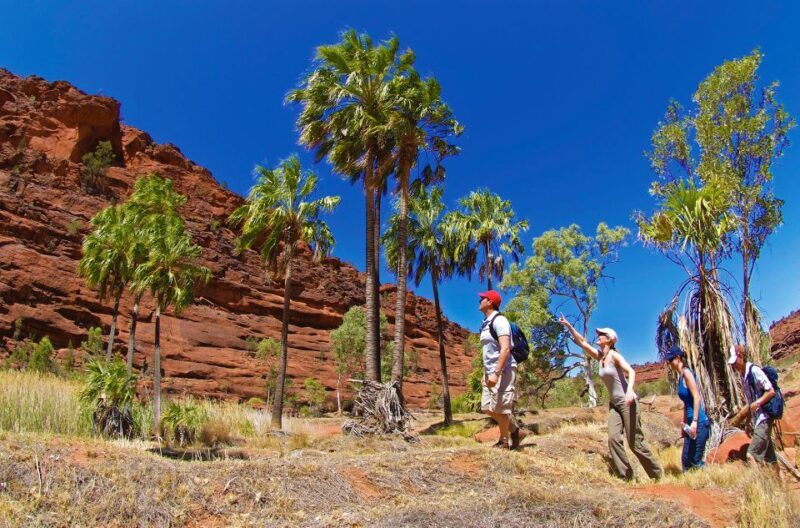 From Alice Springs: Palm Valley 4WD Outback Safari + Picnic - FAQ