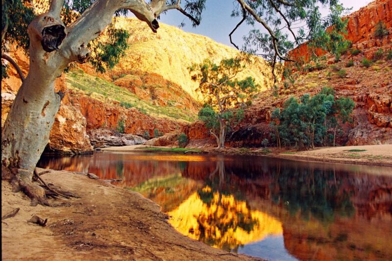 From Alice Springs: West MacDonnell Ranges Day Trip - Is This Tour Right for You?