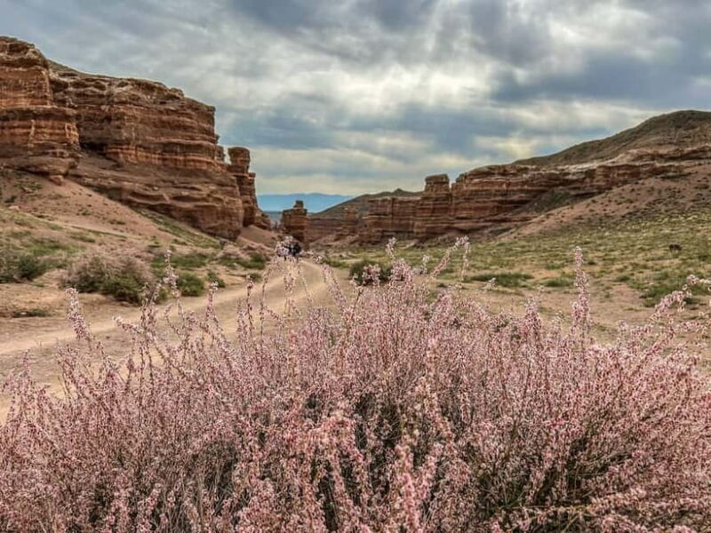 From Almaty: Charyn Canyon Full-Day Trip with Boxed Lunch - Getting to Know the Tour