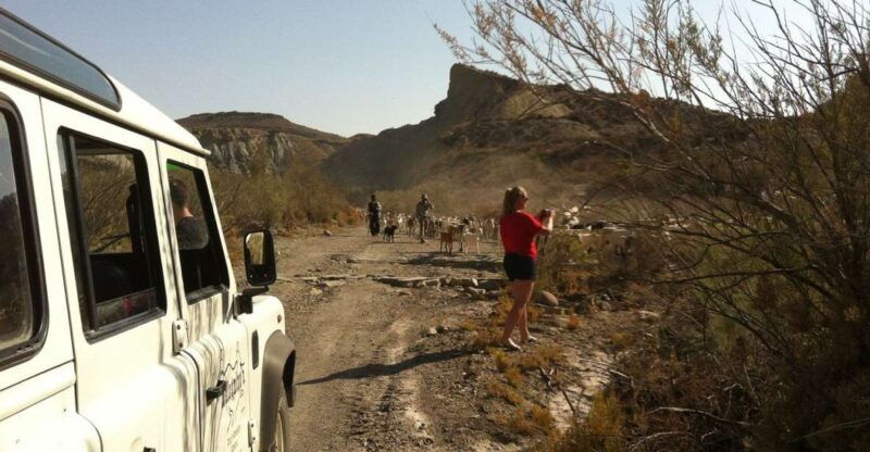 from-almeria-tabernas-desert-4wd-joyriding-tour