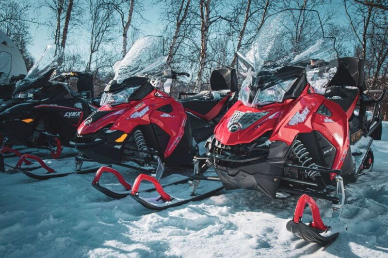 from-alta-daytime-snowmobile-adventure