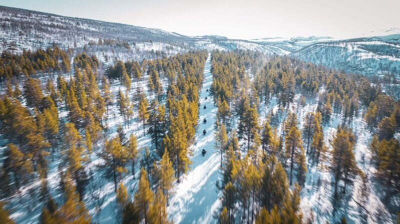 from-alta-daytime-snowmobile-adventure
