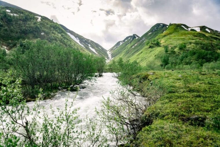from-alta-experience-seiland-national-park