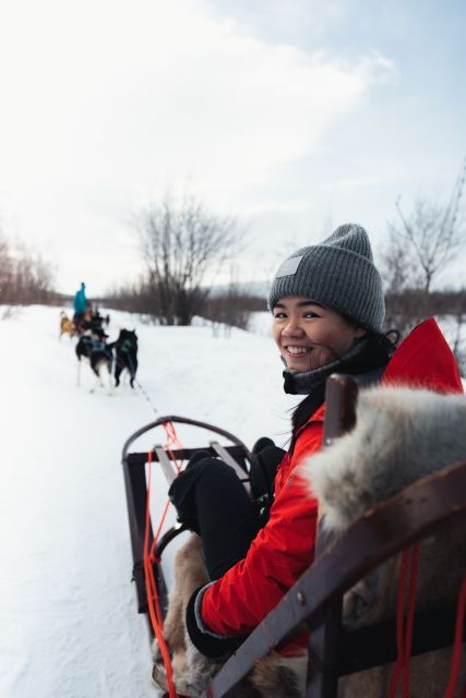 from-alta-huskey-dog-sledding-tour