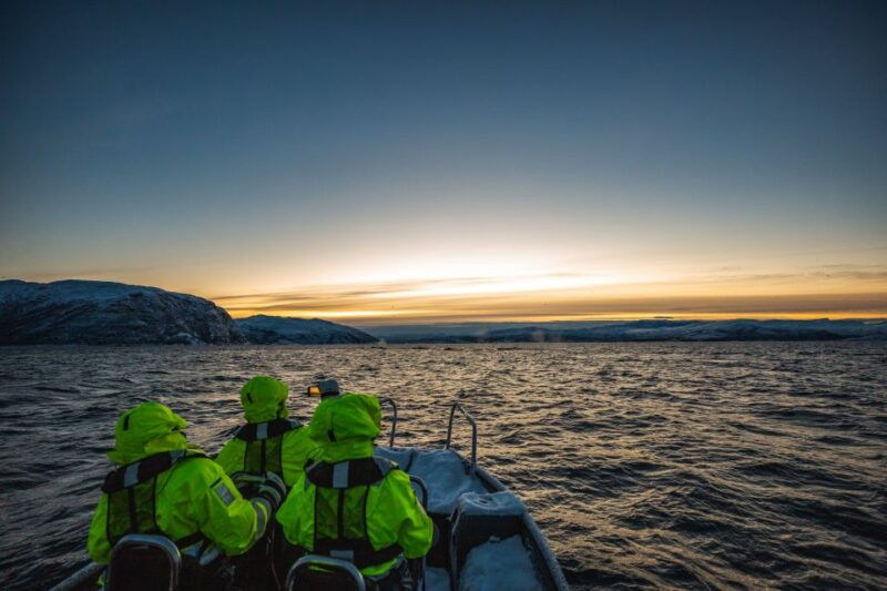 from-alta-small-group-whale-watching-by-rib