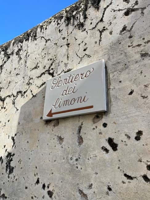 From Amalfi: Lemon Tour with Tasting Session and Transfer - Exploring the Amalfi Coast’s Lemon Path: A Detailed Review
