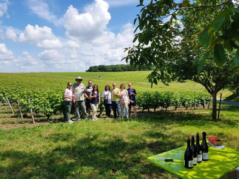 from-amboise-villandry-azay-le-rideau-winery