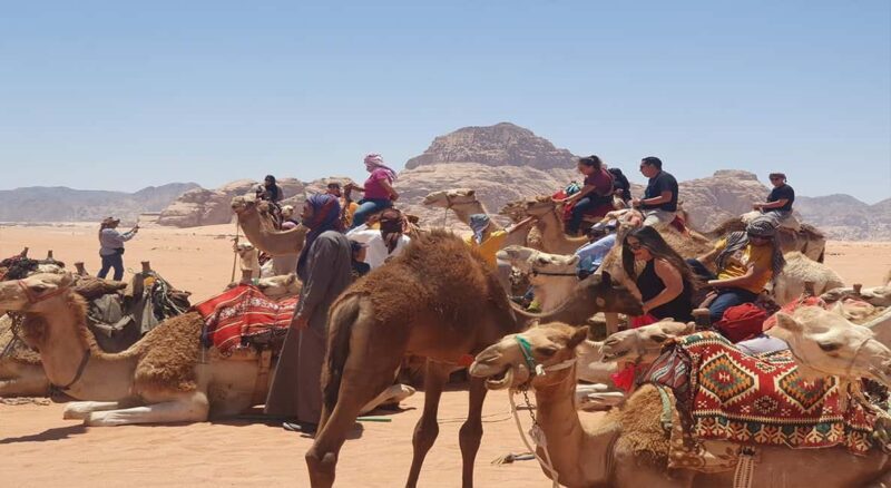 From Amman/Airport: 3-Night Private Jordan Special Tour - What You Can Expect From This Tour