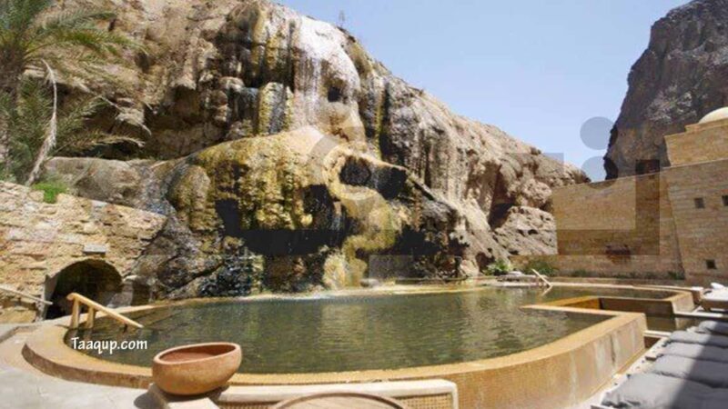 From Amman :Full day Dead Sea and Ma'in Hot spring tour - What to Expect: Practical Details