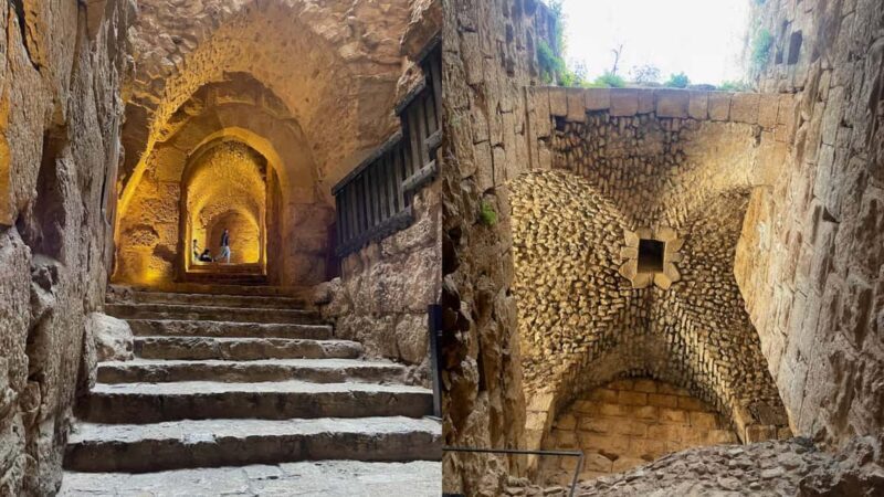 From Amman: Jerash and Ajloun Castle Private Full-Day Trip - Who Will Love This Tour?  