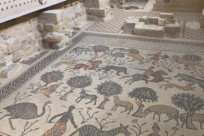 From Amman-Madaba, Machaerus, Dead Sea: Heritage and Nature Tour - Who Will Love This Tour?