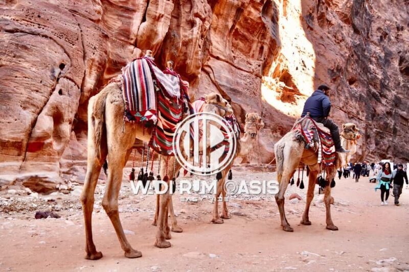 From Amman: Petra, Wadi Rum, and Dead Sea 2-day private tour - Discovering Jordan in Two Days: What’s Included and How it Works