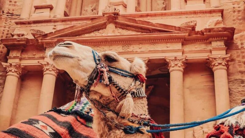 From Amman: Petra, Wadi Rum & Dead Sea 3 days private tour - Discover Jordan in 3 Days: Petra, Wadi Rum & Dead Sea Tour