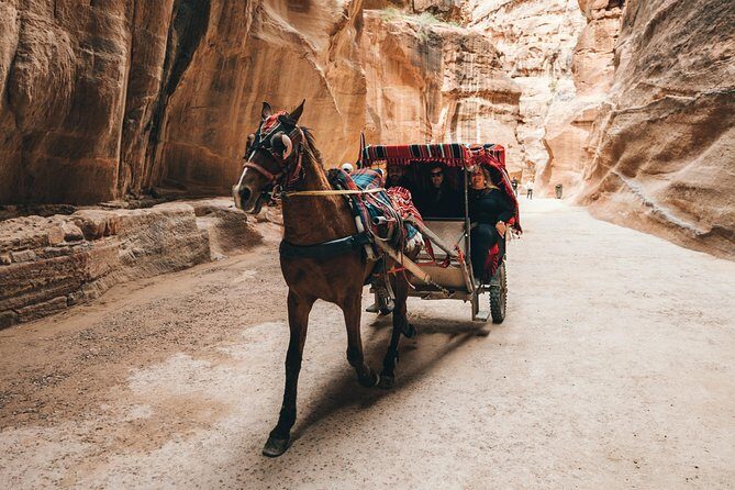 FROM AMMAN | Petra & Wadi Rum in one day | The Jordanian Mappers - FAQ