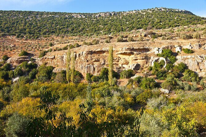 From Amman :Private day tour to Jerash and Ajloun - Key Points