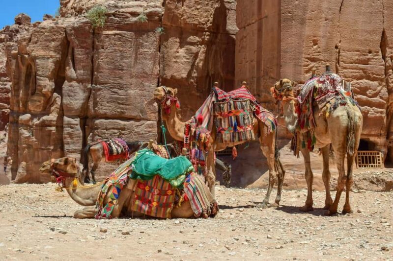 From Amman: Private full Day Tour to Petra & little Petra - Discovering Petra: An Unforgettable Journey