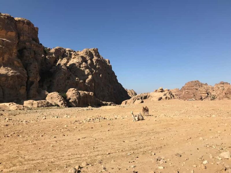 From Amman: Private full Day Tour to Petra & little Petra - Comfort and Convenience: What’s Included
