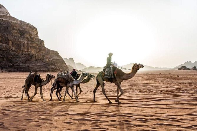 From Amman to Petra and Wadi rum ( Private two days) - The Sum Up: Is This Tour Right for You?