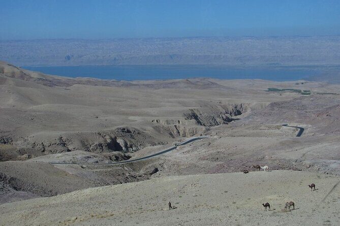 From Amman to West ( Madaba, Mt Nebo, baptism site and dead sea) - The Sum Up